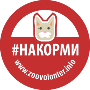 Я и НАКОРМИ