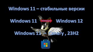 Windows 11