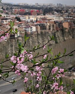 Грузия 🇬🇪 