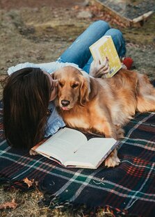 Воспитание и содержание собак