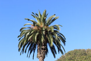 Природная красота