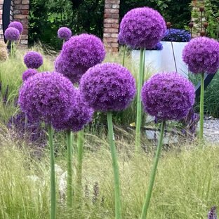 Статьи и посты