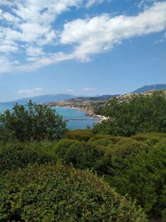 Путешествия в страну чудес