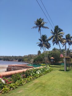 Виза в Индию 