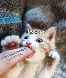 Стажировка