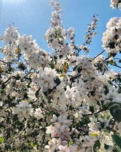 Декоративная косметика