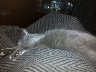 Про заработок и экономию