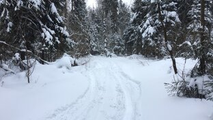 Зимние покатушки