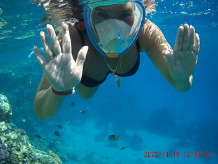 Красное море в Шарм-Эль-Шейхе.