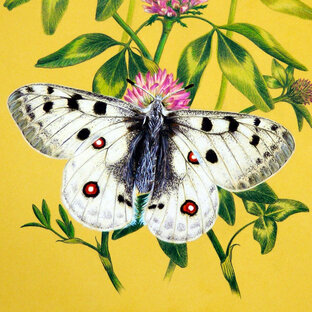 Уроки рисования