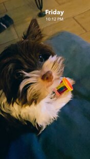 Эльза - моя Эльза