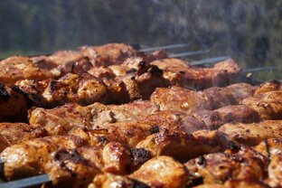 Шашлык и прочее мясо