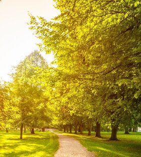 Около романа "Графиня Рудольштадт"