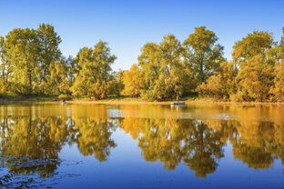 Что интересного в Новосибирской области .