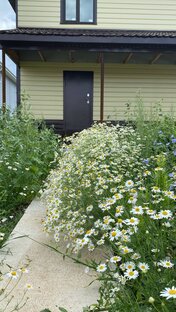 История/хронология