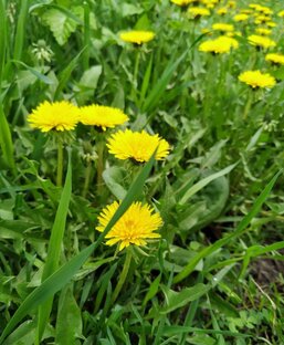 УДИВИТЕЛЬНОЕ ВОКРУГ