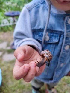 Деревенские будни 