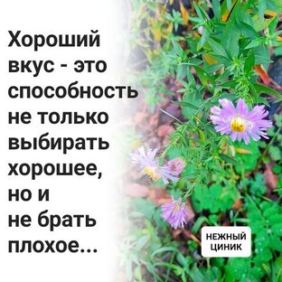 Эпоха расхламления