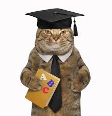 Разбор историй