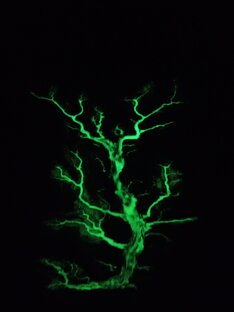 Както так ко оценит