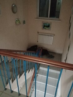 Батя и все о нём)))