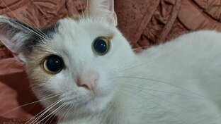 Живой уголок.