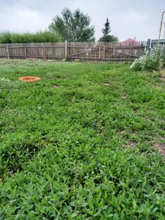 Деревенская жизнь