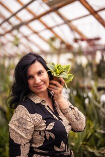 Моя коллекция