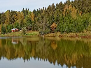 Природа в различных красках 