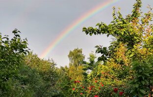 Дом, сад, огород