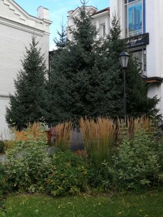 Городское озеленение
