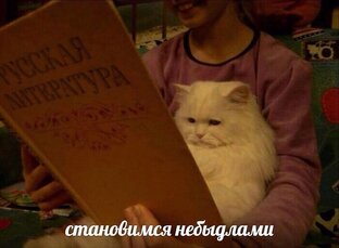 От мультиков до книг