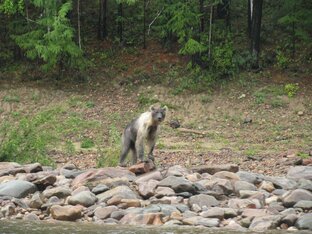 Встречи в пути.