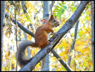 Фотогалерея