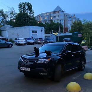 Acura MDX