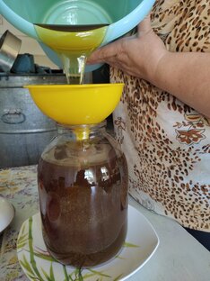 Заливные луга Поюжья - настоящий рай для пчелок