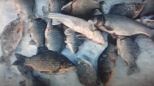 проверка сетей зимой