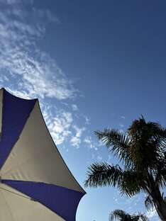 Популярные направления