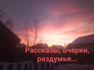 Истории из жизни