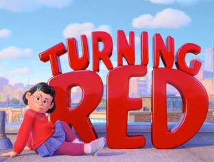 Полезные слова и фразы из мультфильма "Turning red"