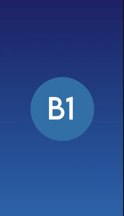 Intermediate 
