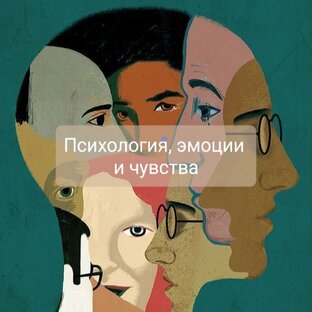 Психология, эмоции и чувства