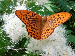 Стихи о природе, любви , о насущном))