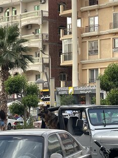 Купить квартиру в Хургаде 