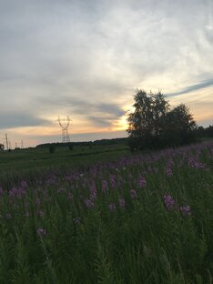 Мой край родной 🍃