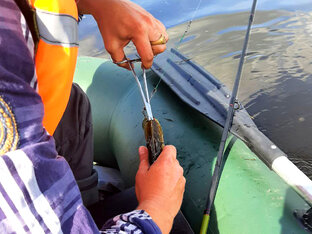 Рыбалка на спиннинг