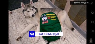Люблю футбол и увлекаюсь