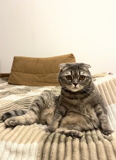 Интересно 😻😻😻