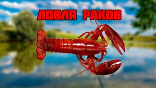 Ловля раков