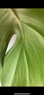 сад и огород